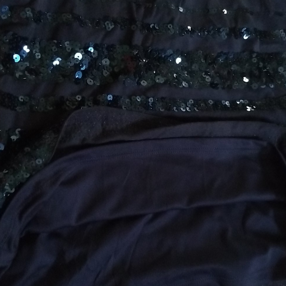 Skirt, Sequin, Express Xp View 4